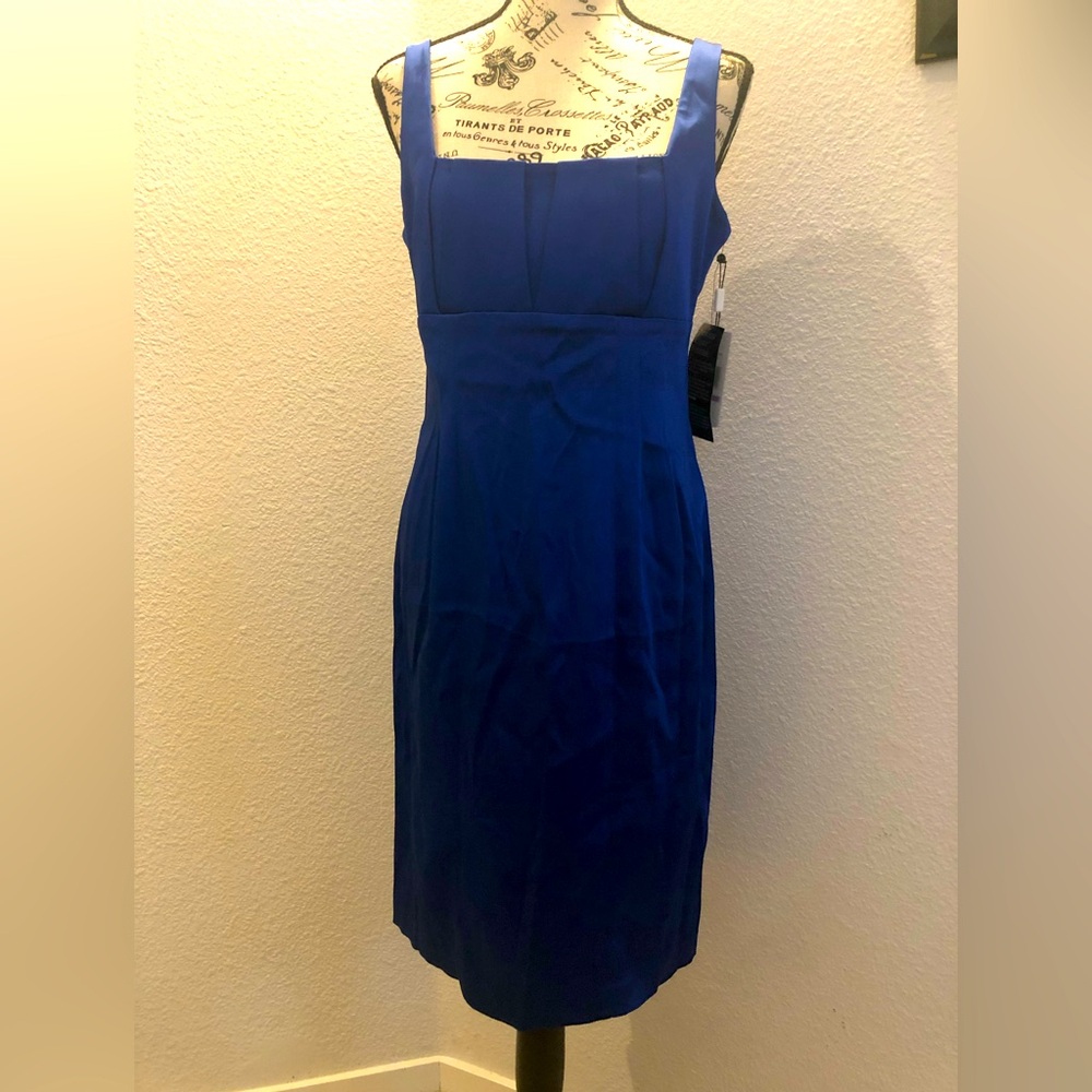 Calvin Klein Sapphire Dress 6